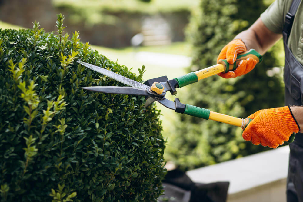 Garden Maintenance Brisbane